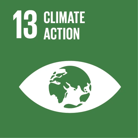 UN SDG 13 Climate action