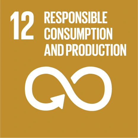 UN SDG 12 Responsible consumption and production
